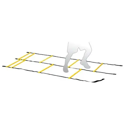 Echelle De Rythme Double