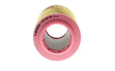 Filtre À Air Bosch S9795
