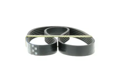 Courroie D'accessoires Gates 6pk803