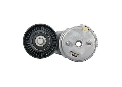 SKF Galet tendeur de courroie d'accessoire (Ref: VKMCV 53007)