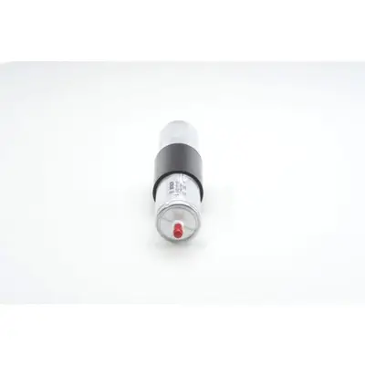 Filtre À Carburant Bosch 0450905905